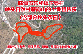 临海市东塍镇下晏村岭头自然村箬岗山的土地租赁权（含部分岭头茶园）